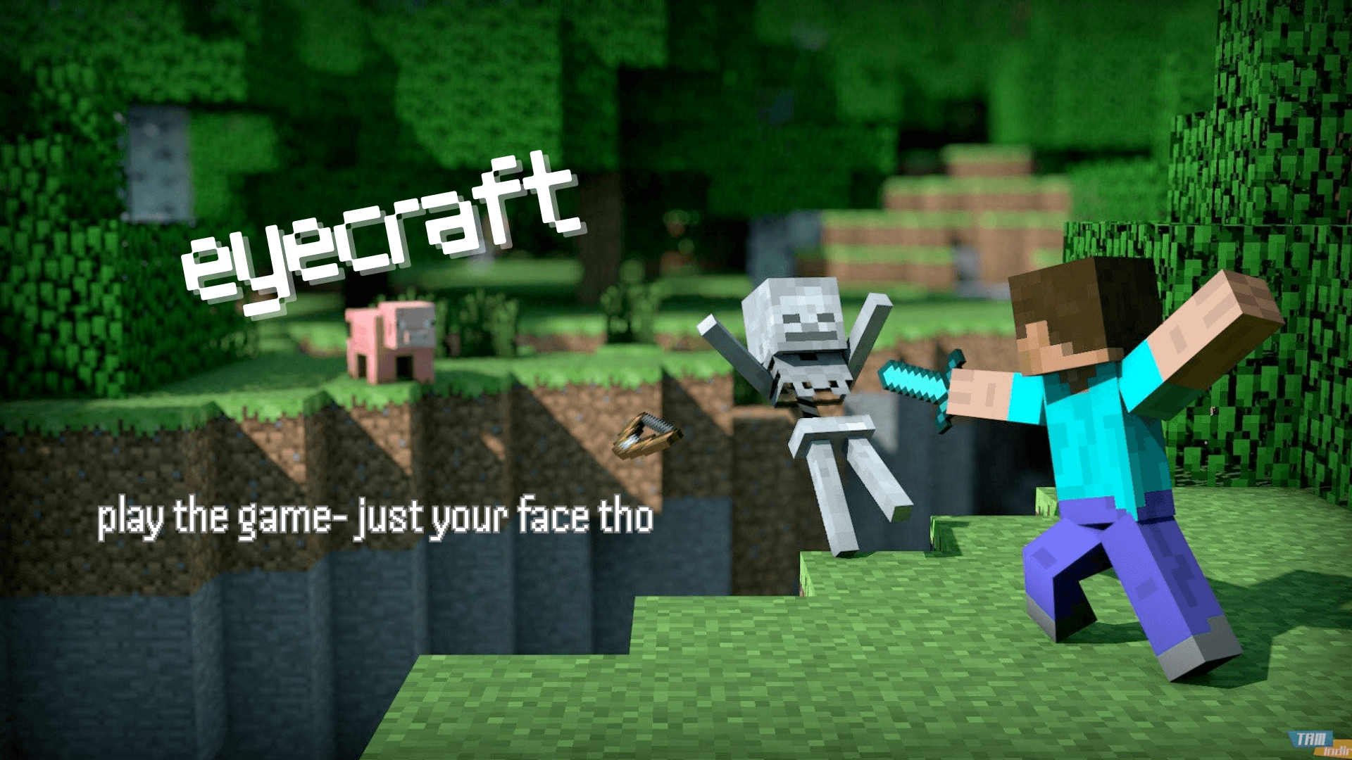 Eyecraft image
